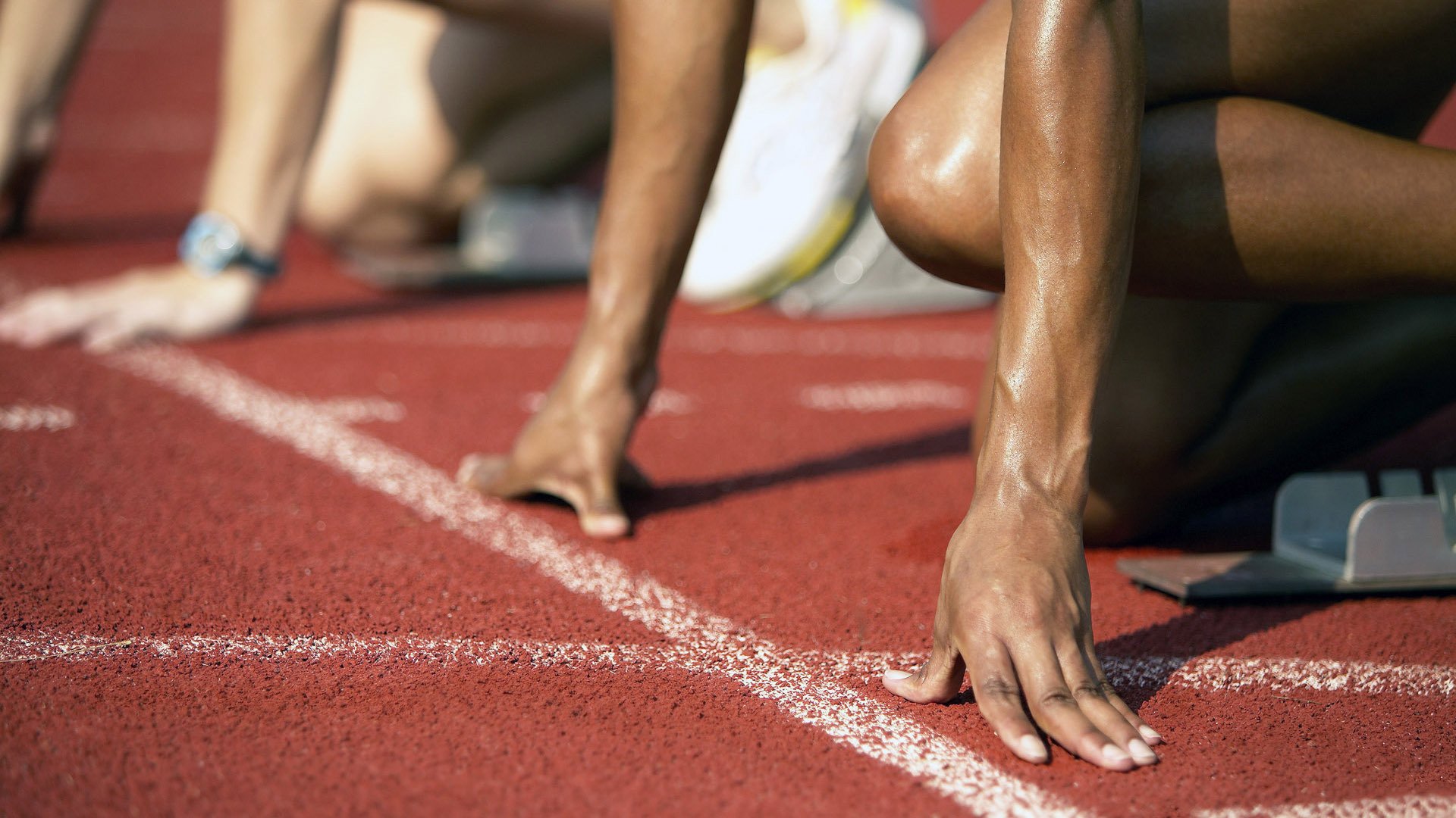 传统武道会，展现技艺的力量与美感，传统武术套路有哪些