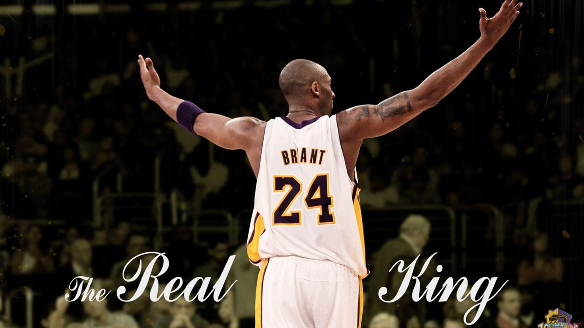 奇才队球队替补球员贡献增加，奇才队引援